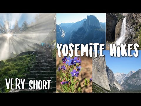 7 EASY Hikes in Yosemite (good for families) 🏕