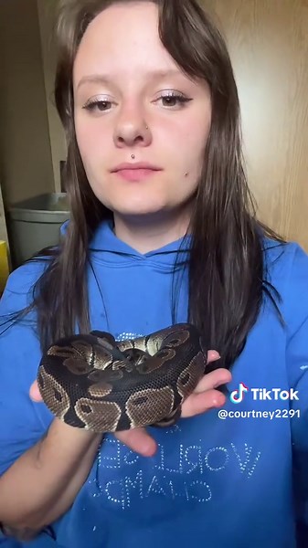 Exploring Unique Frog Species: African Clawed & More