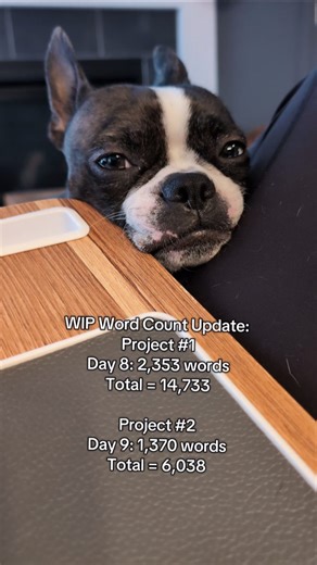 Author AJ Eversley on Instagram: "I thought I was mostly done with project 1 but then I went back and added another chapter 😅 My goal is to finish project 2 over the next week and send both off to my agent for feedback. These are both new ideas and just the first 6-7 chapters to get a sense of the voice, character, etc. Hopefully one stands out as the next project to work on!! . . . . #bookish #writingcommunity #amwriting #booksofinstagram #writersofinstagram #booksbooksbooks📚 #writing"
