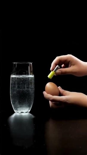 Amazing Science Experiment You Can Try at Home 🔬 | Fun & Easy