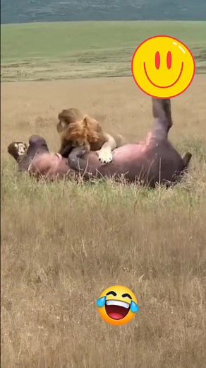 152K views · 2.7K reactions | ចំណីហើយ藍藍藍 | Ah Kaa | Facebook