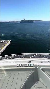 Sunset Verandah Room Tour onboard the Celebrity Edge. #cruise #celebritycruises