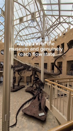 Exploring the Fernbank Museum in Atlanta