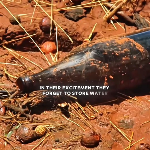 1.4M views · 16K reactions | #fypシ #fypシ゚viralシfypシ゚viralシalシ #films #short | FilmsShort | Facebook