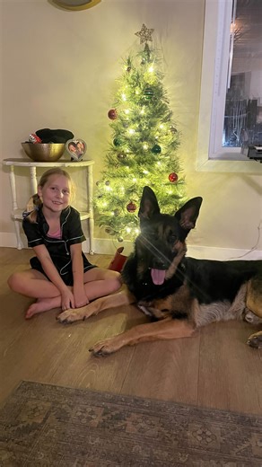 Klaus The German Shepherd on Instagram: "He doesn’t want to be saved"