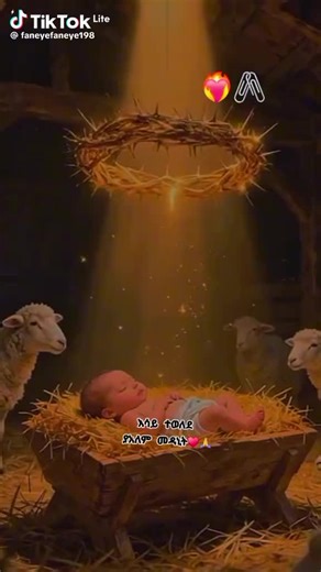 Genet (@genet.90)’s videos with original sound - Genet