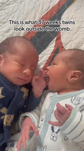 211K views · 4.2K reactions | Brothers 﫶 #moditwins #pregnantlife #laboranddelivery #37weeks #twins #family | Twin pregnancy | Facebook