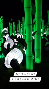 This dazzling animal lantern festival is back at Oakland Zoo! 🐝🐒🐍Hundreds of gigantic hand-painted lanterns have been placed along a mile-long pathway, making for one of the Bay’s most unique holiday light installations. ✨ Read our article to learn more: bit.ly/glowfari #mysecretsf 🎥: @aroundtheworldwithkidsblog instagram.com/p/CW3a6R2JSHh/ 📍: Oakland Zoo | Secret San Francisco