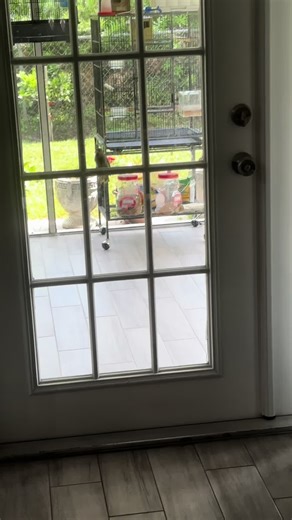 Xhesti (@xhesti007)’s videos with sonido original - DiegoVegaSoria