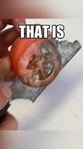 214K views · 865 reactions | Meteorite Knife! ☄️ #diy #forge #metallurgy | Waterjet Channel | Facebook