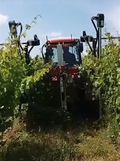 🚜🌳👍 Mașină de cârnit marca ID-David model PV-VIEW. Pentru mai multe detalii nu ezitati sa ne contactati la 060111028. http://www.ispgroup.ro ISP INTER - dealer oficial Industrias David