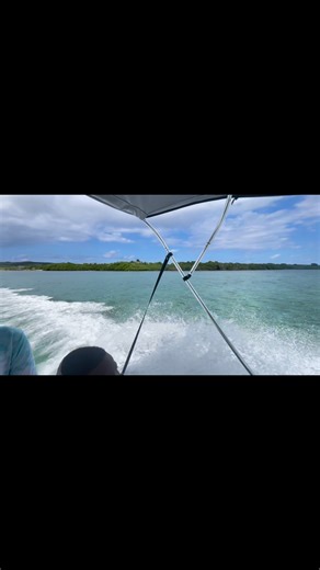 🌊🐠 ROATÁN EAST END SNORKELING | 5–7 HOURS 🐠🌊 Includes: • 🚤 Private boat tour • 🐠 East End Reef snorkeling • ⚓ Shallow shipwreck snorkeling • 🦈 Nurse shark snorkeling • 🏖 Jade Beach (weather permitting) • 🍺 Beers & 🥤 Sodas • 🚗 Round-trip transportation 🍽 Lunch stop available upon request (fee not included) | St.Helene Tour & Adventure