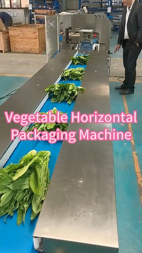 Vegetable Horizontal Packaging Machine #packingmachine #vegetable #foodpacking #pillowpackingmachine | Packaging Machinery