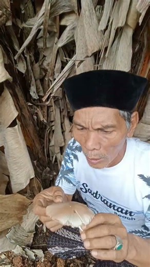 Apa nya itu kok jadi penasaran kakek #subscribe #trending #funny #shorts