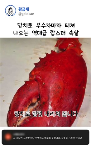 망치로 부수자마자 터져 나오는 역대급 랍스터 속살