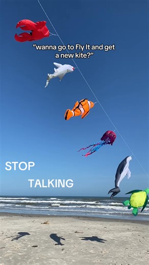 What’s on your wishlist? 🪁 ….. We are a kite store and so much more located in Port Aransas, Tx. You’ll find kites, flags, beach shades, windsocks, yard art, toys, and more! 🪁 Fly It Port A 405 W Ave G Port Aransas, Tx | Fly It Port A Kite Shop