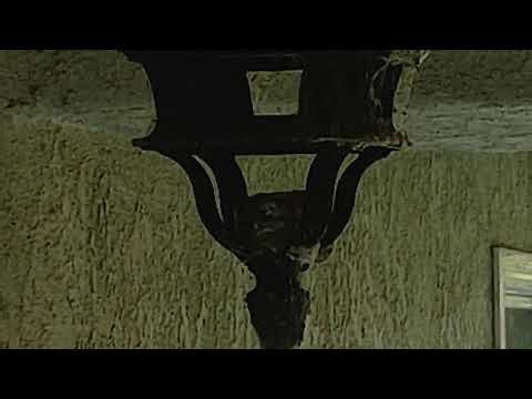 LIVE Hummingbird Nest Cam 🐦 Eggs & Baby Hummingbirds | Nature Stream