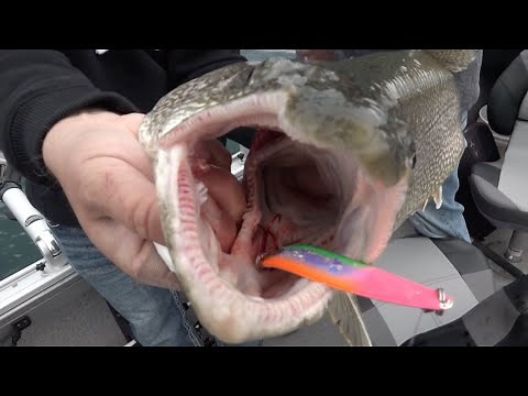 Early Season Fishing In Alpena, MI!