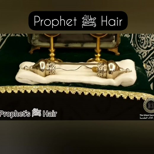 Authentic Relic: Prophet Muhammad's Blessed Hair