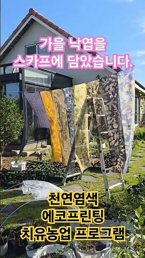 치유프로그램으로 진행^^ 가을나뭇잎을 스카프에 프린팅 #치유프로그램 #지리산들꽃다물농장 #농촌체험관광 #에코프린팅
