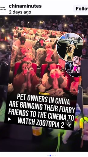158K views · 929 reactions | We’ve gone too far. It’s dog-gone crazy in China y’all.    Come see me perform live. Get tickets with the link in bio or go to www.joegattoofficial.com | Joe Gatto | Facebook