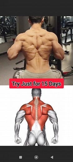 7.7K views · 319 reactions | 15 Days to Build a Back of a Beast |...