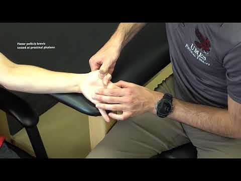 Manual Muscle Test Thumb Flexion