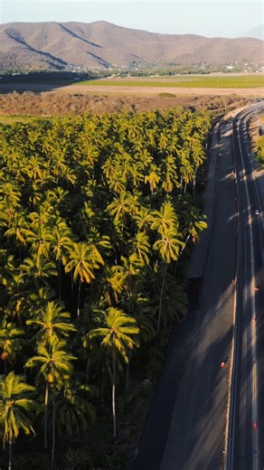 55K views · 1.2K reactions | ¡Colima es el viaje completo! ✨ Aquí tienes de todo, playas, montañas, cultura, gastronomía, historia, biodiversidad y mucho más. ‍↔️ ¡Una aventura #DelMarALaMontaña que no te puedes perder! | Turismo Colima | Facebook