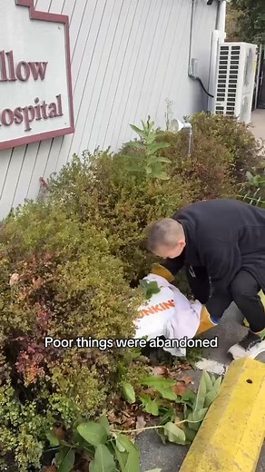 Don’t worry, we’d never leave them out in the cold 🥺 | Day Hollow Animal Hospital