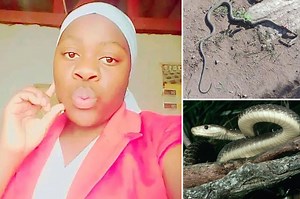 Zimbabwe student dies after classroom black mamba snake attack