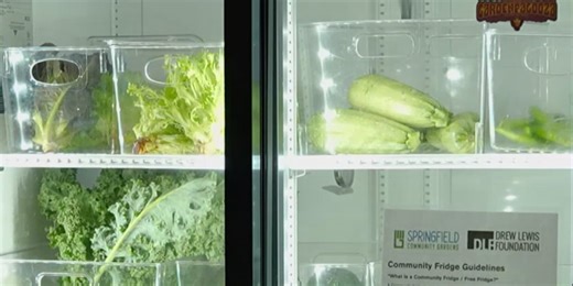 Springfield Community Gardens expands its community fridge program