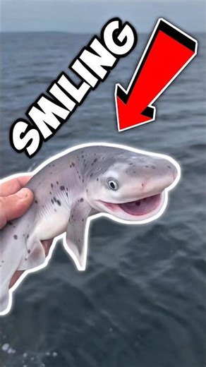 This Guy Caught a Smiling Shark — Then Made a Huge Mistake‼️😱