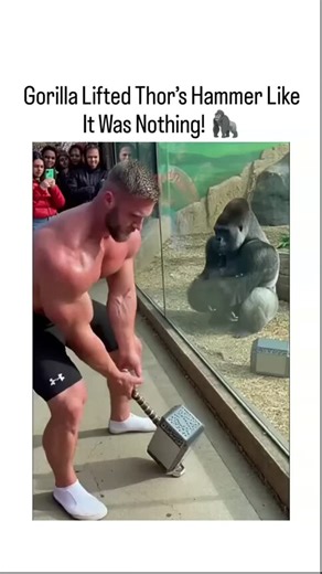 Follow for chocolate 🍫 on Instagram: "This instagram reel shares a 15-second AI-generated video showing a bodybuilder straining to lift a Thor's hammer replica outside a gorilla enclosure, only for the gorilla to grab and wield it effortlessly through a gap, amassing 2.7 million views since its January 7, 2026 upload. Viral since late December 2025 across platforms like TikTok and YouTube, the clip uses fabricated footage to blend Marvel mythology with primate strength myths, but reveals tellta