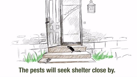 SWISSINNO Bird Feeders - No Mess Hanging Bird Feeder for Outdoors - Smart Birds Davos Spill Proof Wild Cardinal & Small Bird Feeder with Integrated Seed Catcher Tray - Dual Chamber - Green