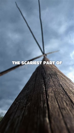 #CapCut good morning #thebeautywayofthefourdirectionssouthtexas #peyote #NAC #lophophorawilliamsii