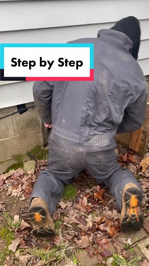 Cómo te protegemos de las termitas