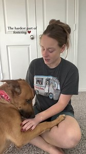 The hardest part of fostering 💔 | Puppy Rescue