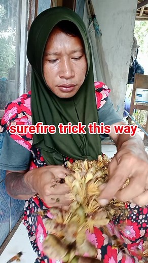 tips on how to easily find forest honey bee hives by fishing with sugar palm flowers #Emakextrimreal #fyp #honey #usa #nature #fblifestyle | Emak Extrim Real