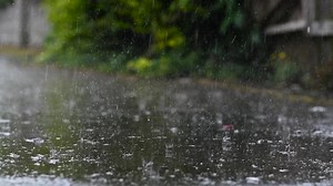 Premium stock video - Raindrops splashing in slow motion