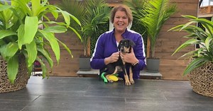 Bachman's partners with local dog rescue for winter fun