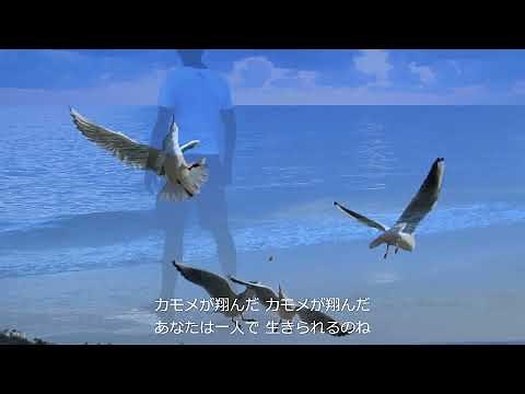 渡辺真知子 かもめが翔んだ日 歌詞付き