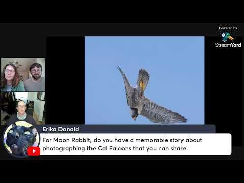 2024 Fledging Q&A With Special Guest Moon_Rabbit_Rising