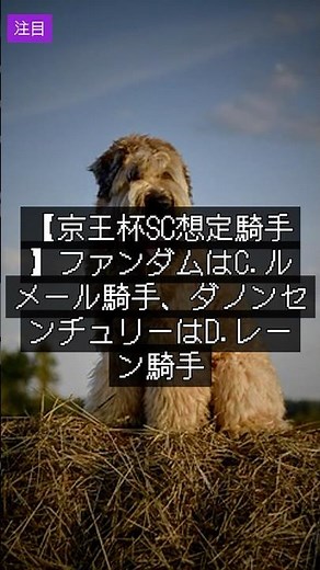 4月27日｜競馬速報｜【京王杯SC想定騎手】ファンダムはC.ルメール騎手、ダノンセンチュリーはD.レーン騎手 #Shorts