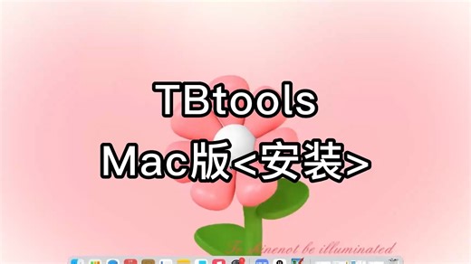 TBtools for Mac安装全程指南