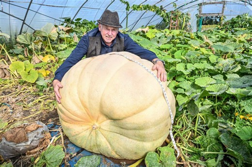 Champion big veg grower has record year with four world records