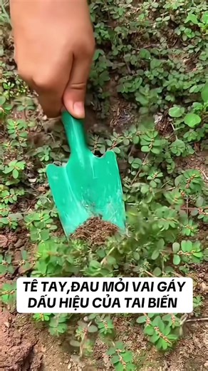 Tê tay, đau vai gáy: Dấu hiệu tai biến mạch máu não
