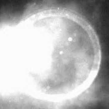 Rotating Detonation Engine Start Up