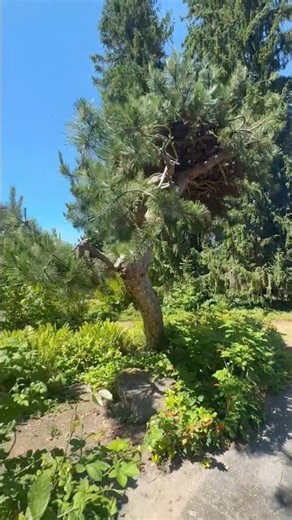 Let’s edit filming