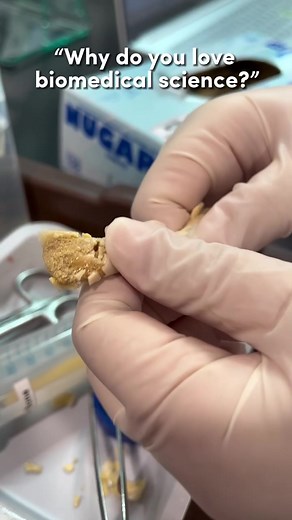 The beauty of science 🧬 🫶✨ #lifeinRP #republicpoly #biomedicalscience #fyp