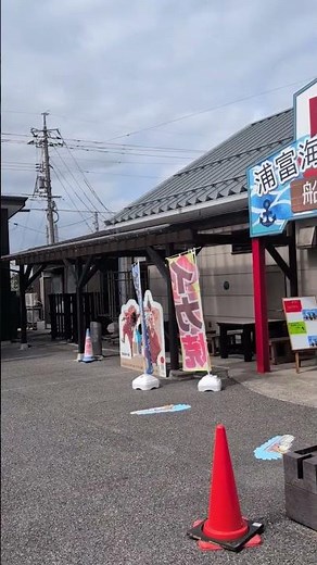 鳥取砂丘から車で10分、浦富海岸島めぐり遊覧船乗り場「あじろや」昼ご飯を食べに行きました #浦富海岸 #あじろや#島巡り遊覧船